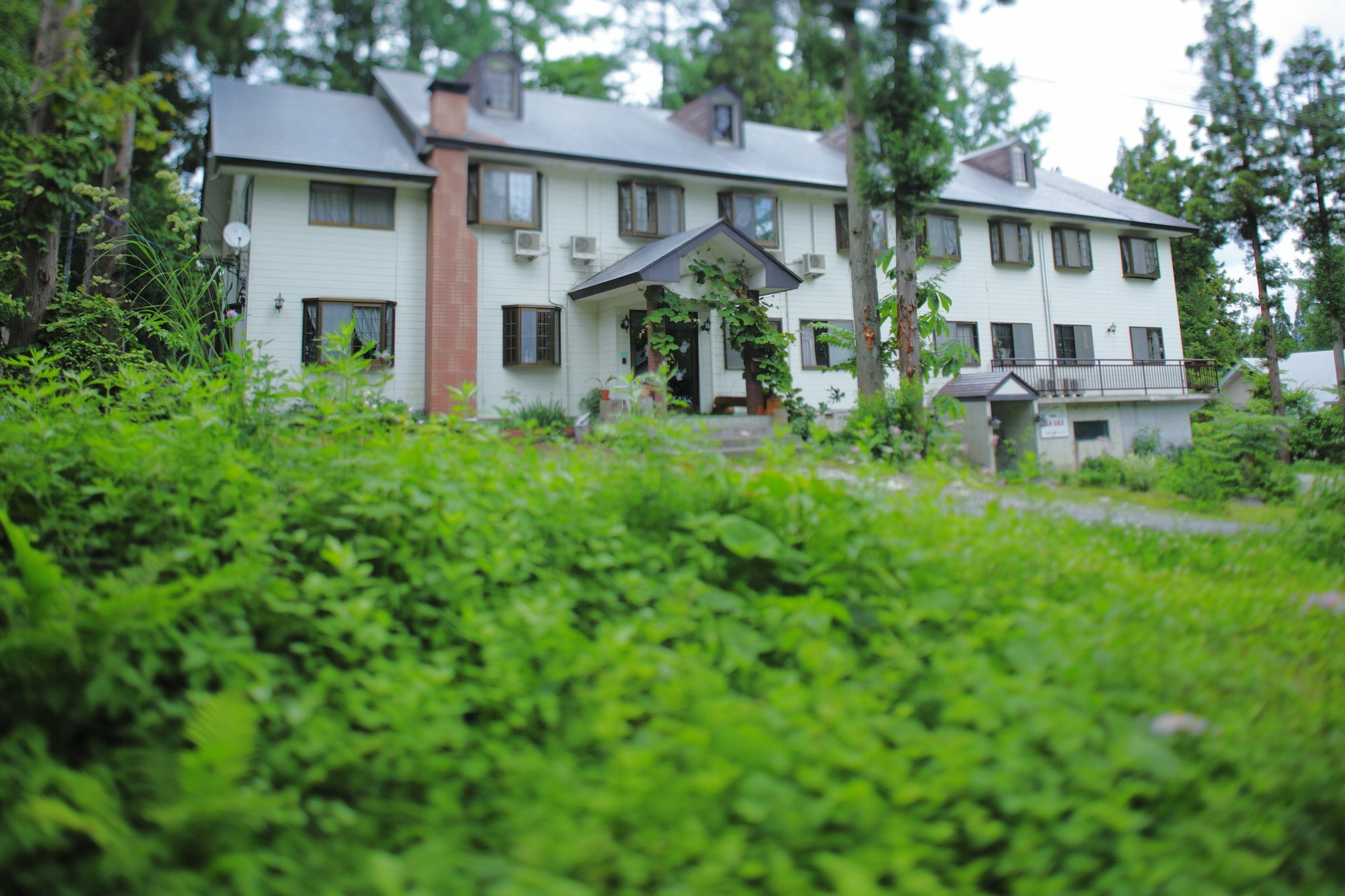 Hakubagoryu Pension&Logcottage Arumu Exterior foto